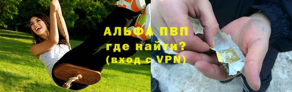 apvp Алзамай