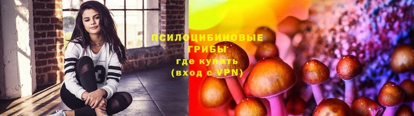 apvp Алзамай