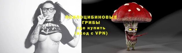 прущие крисы Сафоново