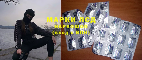 apvp Алзамай