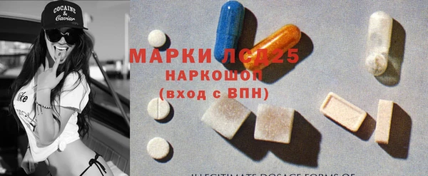 apvp Алзамай