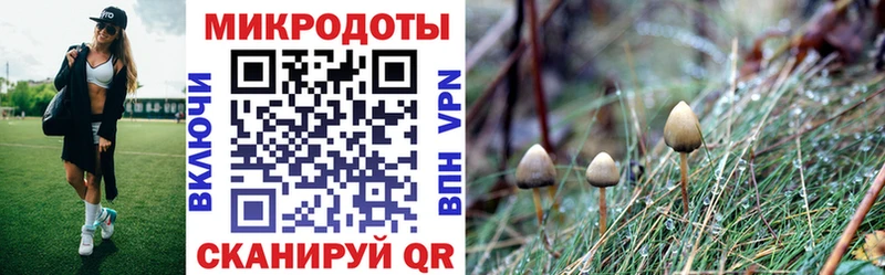 ссылка на мегу ССЫЛКА  Буй  Галлюциногенные грибы ЛСД 